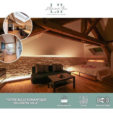 Evasion Chic, Spa Et Sauna Sous Les Toits 낭시 외부 사진