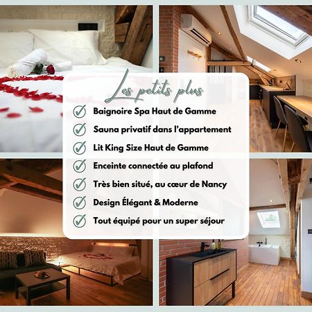 Evasion Chic, Spa Et Sauna Sous Les Toits 낭시 외부 사진