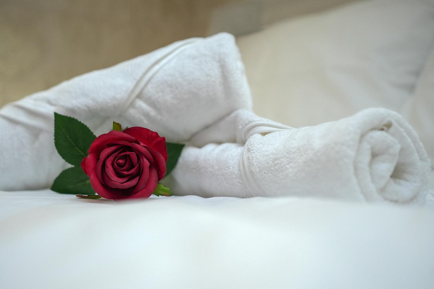 Evasion Chic, Spa Et Sauna Sous Les Toits 낭시 외부 사진