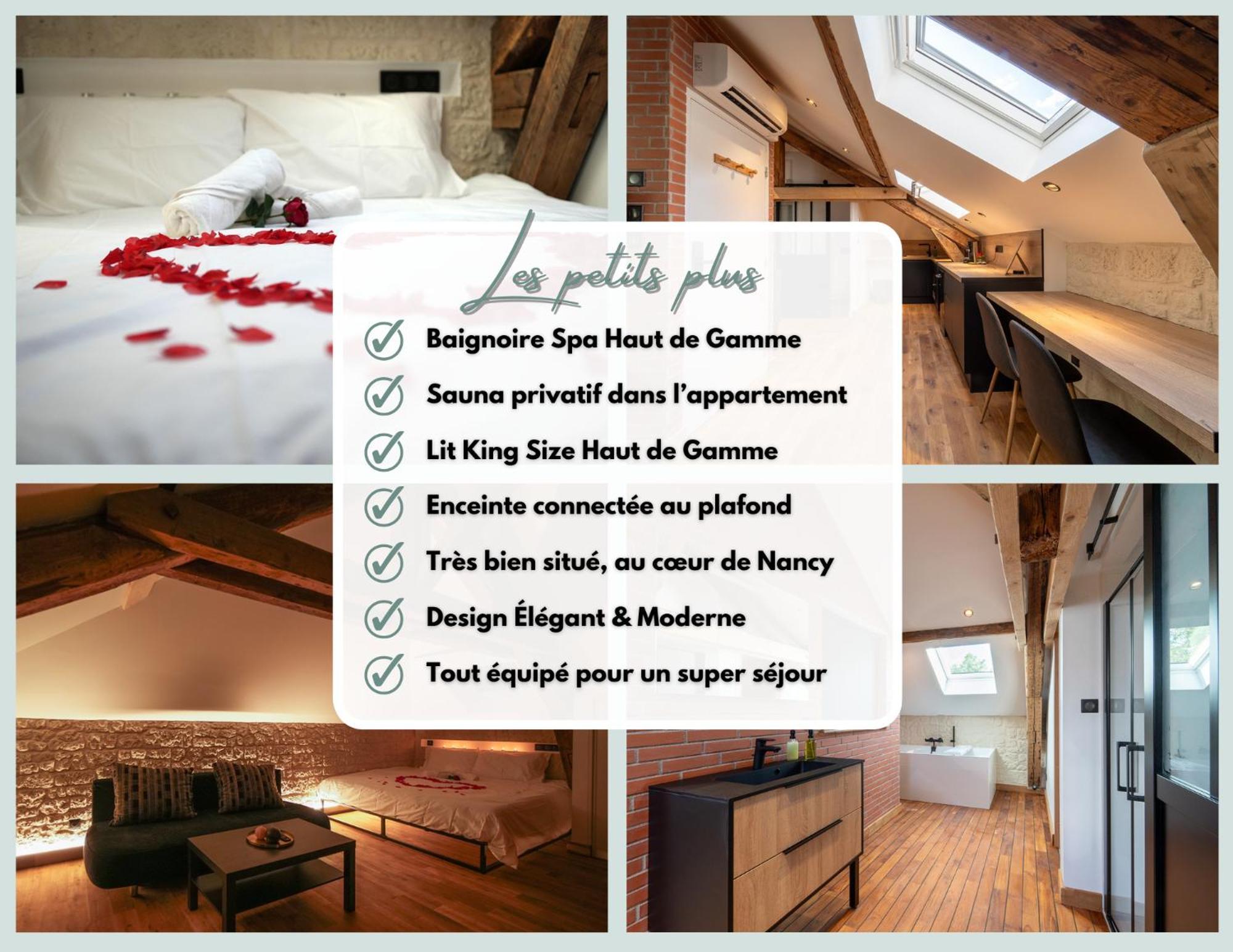Evasion Chic, Spa Et Sauna Sous Les Toits 낭시 외부 사진